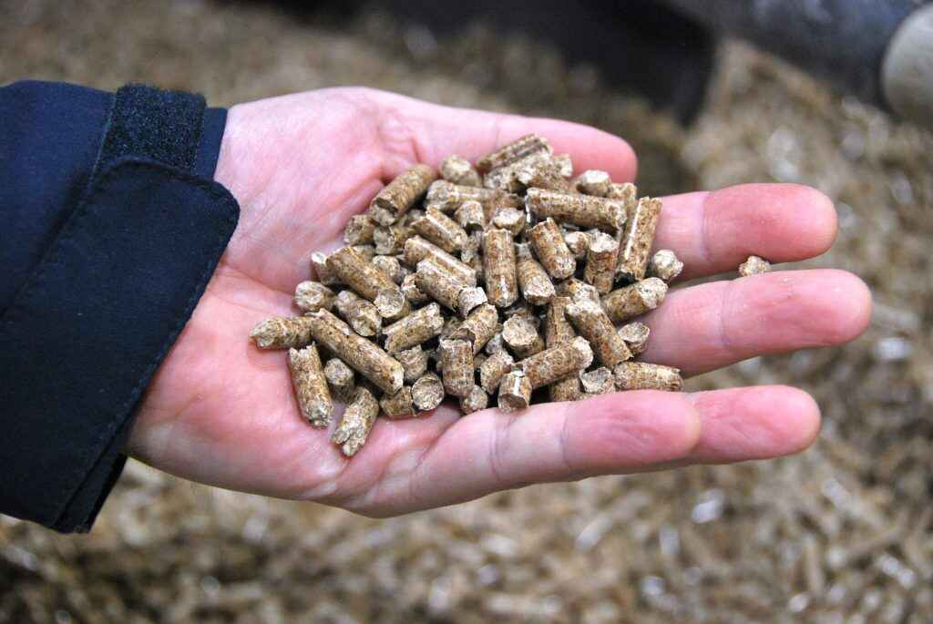 Wood Pellets in Barcelona 